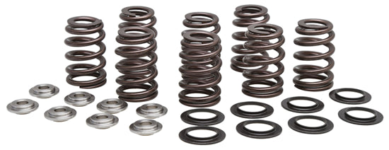 VALVE SPRING KITS